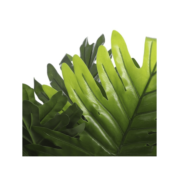 Philodendron In Plastic Pot Groen - H60xd80cm