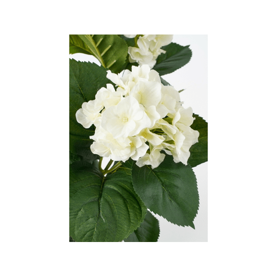 Hortensia Wit In Pot Stan Grijs D13,5cm - H40xd35cm