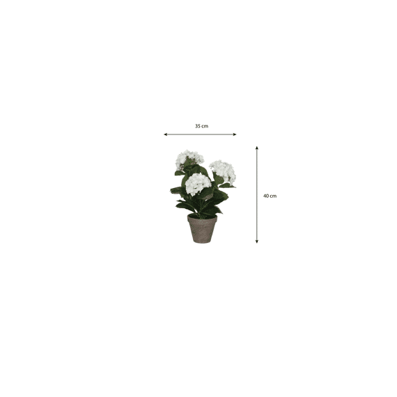 Hortensia Wit In Pot Stan Grijs D13,5cm - H40xd35cm