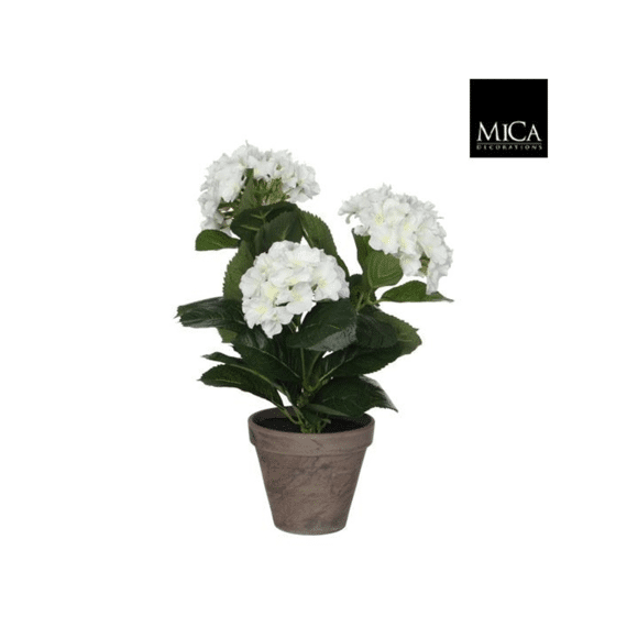 Hortensia Wit In Pot Stan Grijs D13,5cm - H40xd35cm