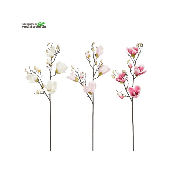 Magnolia Fuchsia L.roze Creme - L85cm 3assortiment