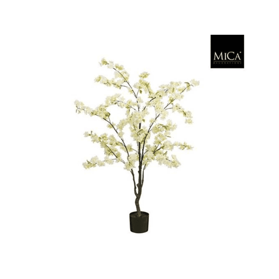 Bloesemboom In Pot Creme - H138xd40cm