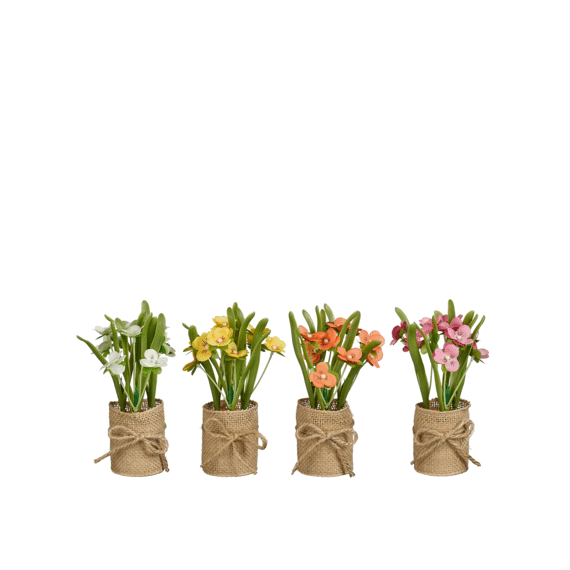 Viooltje In Pot Met Burlap Op Tray - H15,5xd5cm 4 assortiment