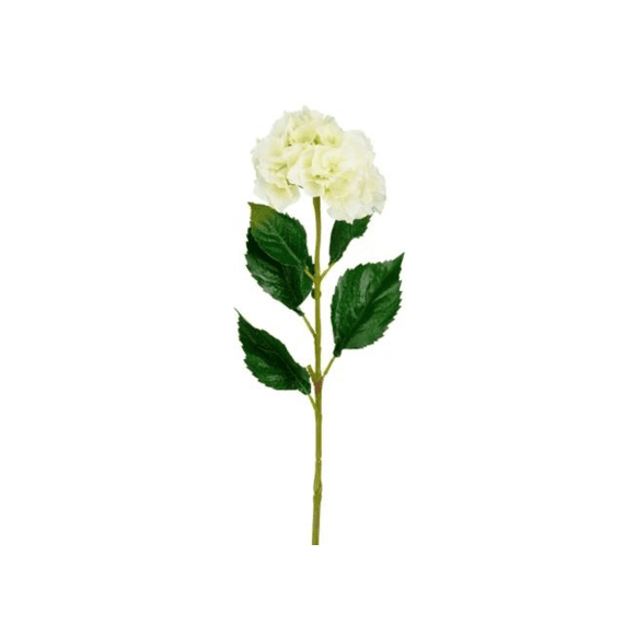 Hortensia Creme - L61cm