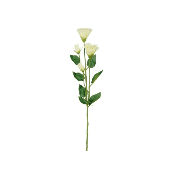 Lisianthus L.groen - L72cm