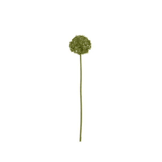 Allium Groen - L60cm