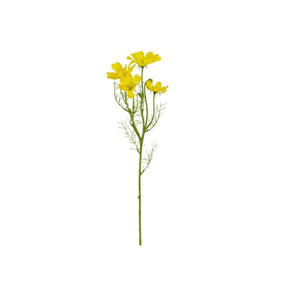 Cosmos Geel - L60cm