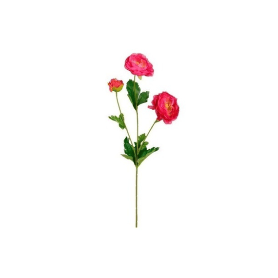 Ranunculus Fuchsia - L66cm