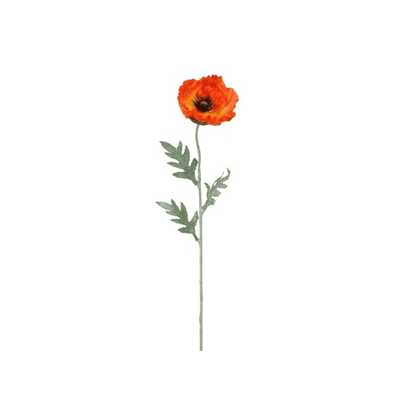 Klaproos Oranje - L65cm