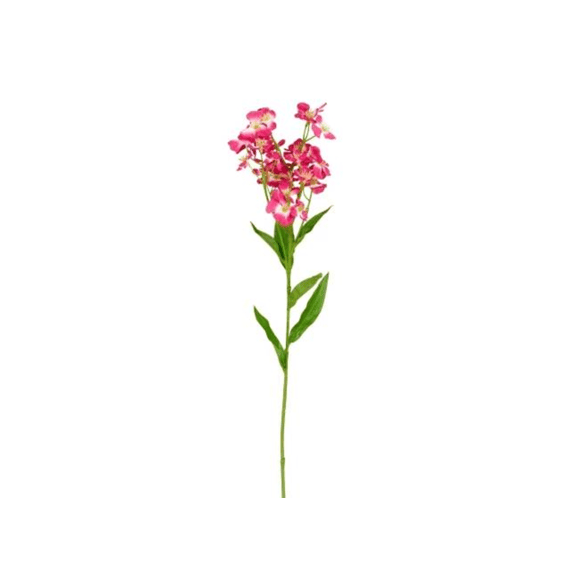 Phlox Fuchsia - L64cm