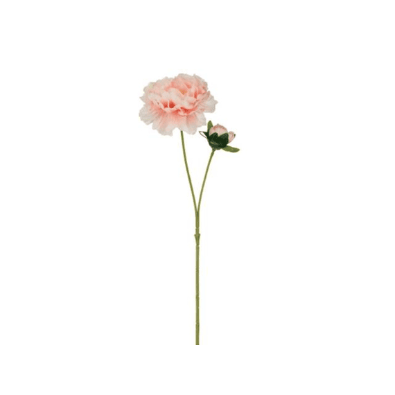 Pioen L.roze - L52cm