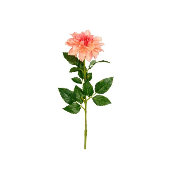 Dahlia Zalm - L59cm