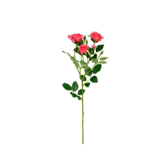 Roos Fuchsia - L51cm