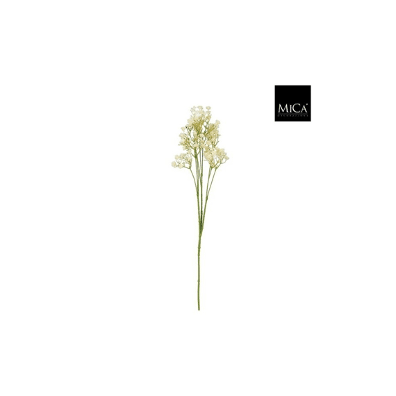 Gypsophyla Creme - L68cm