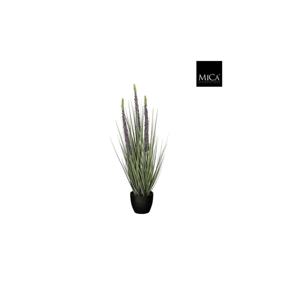 Gras Eremurus In Pot Paars - H80xd25cm