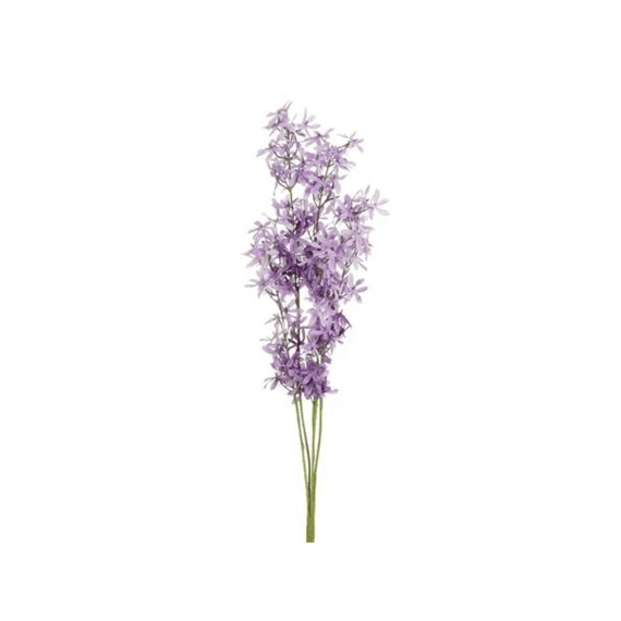 Wisteria L.paars - L115cm