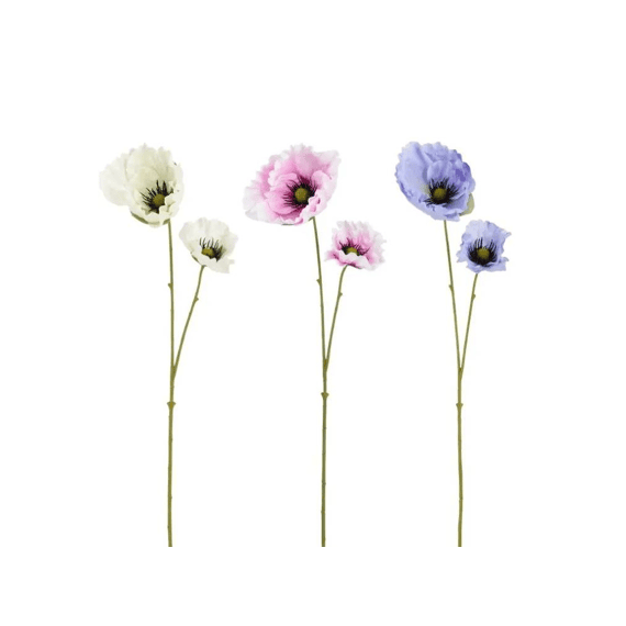 Klaproos Leafless - L68cm 3assortiment