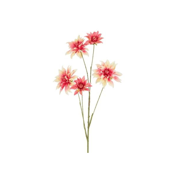 Dahlia Roze Leafless - L109cm
