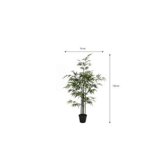 Bamboe Groen In Plastic Pot - H120xd75cm