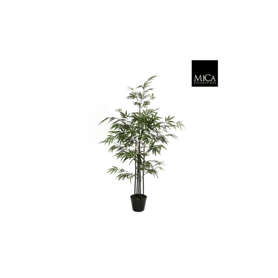Bamboe Groen In Plastic Pot - H120xd75cm