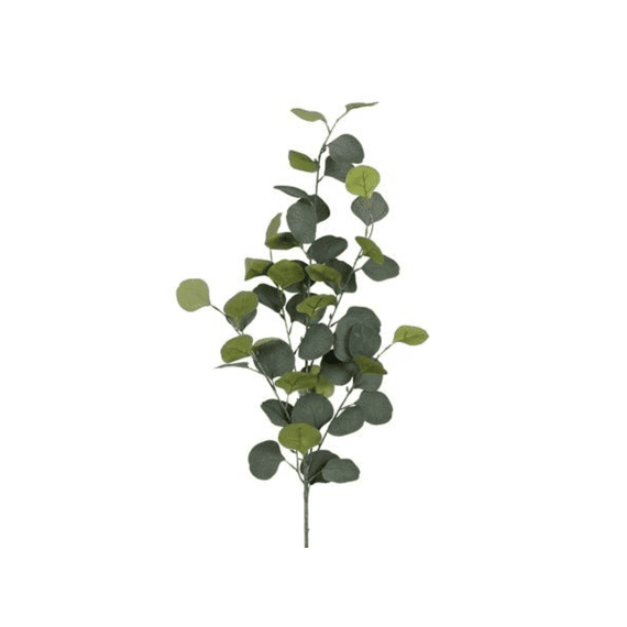Eucalyptus Tak Groen - L90cm