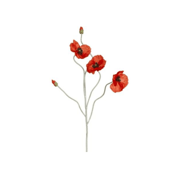 Klaproos Rood - L107cm