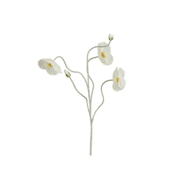 Klaproos Creme - L107cm