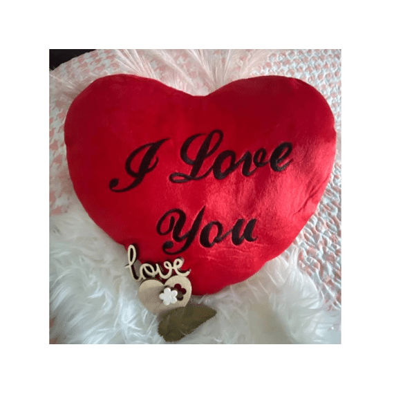 Rood Pluche Hart I Love You 35cm