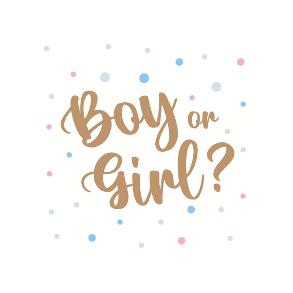 Duni Servetten 33x33cm 20 Stuks Boy Or Girl