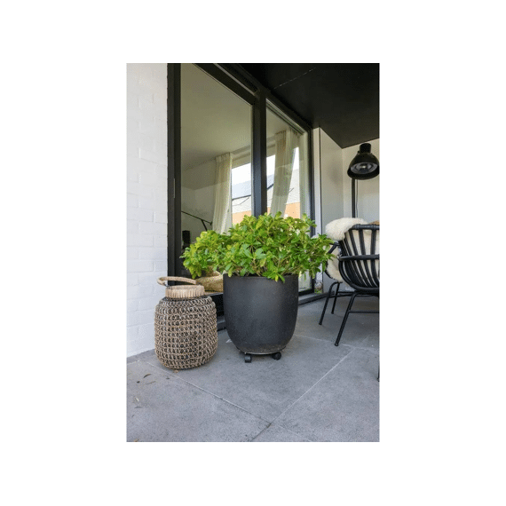 Practo Garden Plantenroller Diam30 Cm 60kg Bruin Grijs