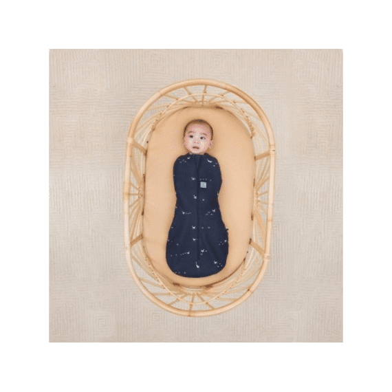 Ergopouch Ergococoon 0-3m Autumn 1,0 Tog Ducks