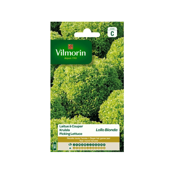 Vilmorin Krulsla Lollo Bionda - Sc