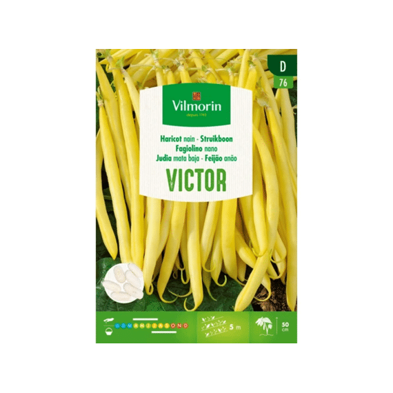 Vilmorin Boterboon Victor 35g - Sd