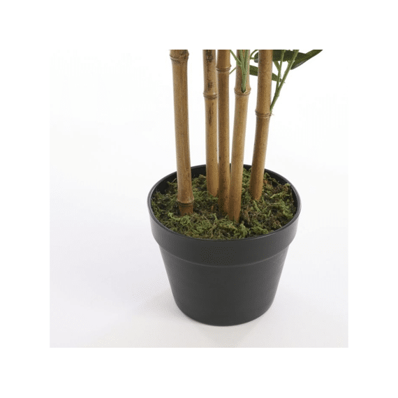 Bamboe In Pot Groen - H155xd90cm