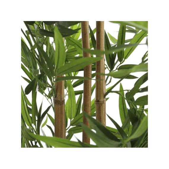 Bamboe In Pot Groen - H155xd90cm