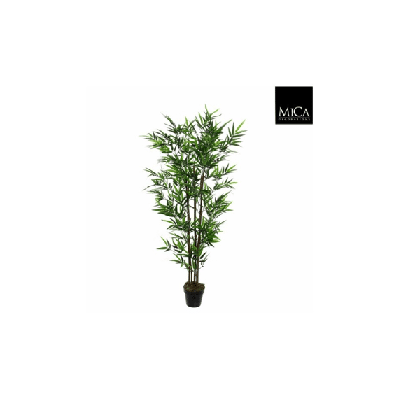 Bamboe In Pot Groen - H155xd90cm