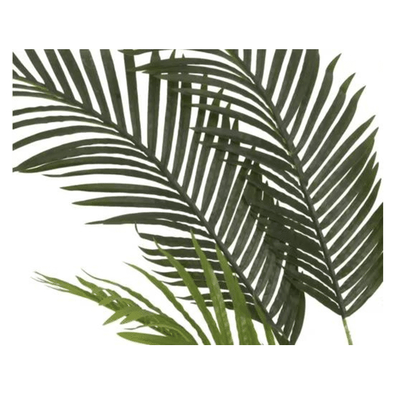 Palmboom In Pot Plastic D.90cm X H.150cm Groen