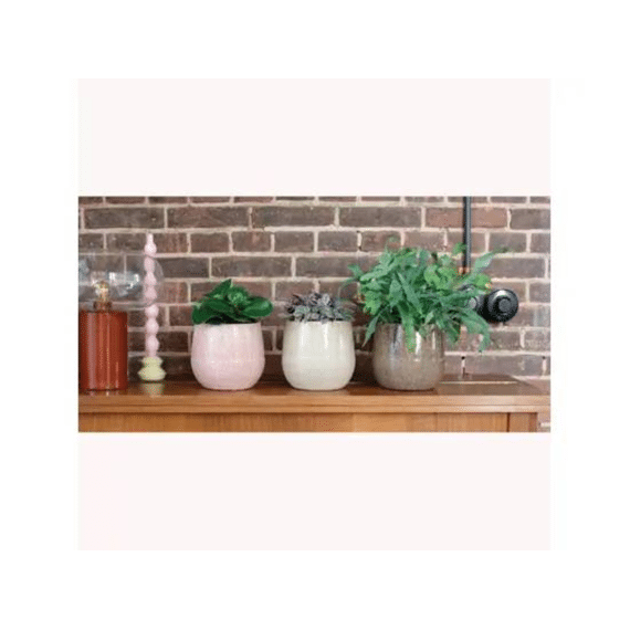 Planter Terracotta D.16cm X H.14cm 3 Assortiment