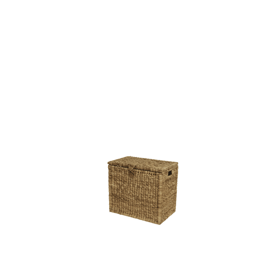 Opbergbox Waterhyacint Naturel Klein