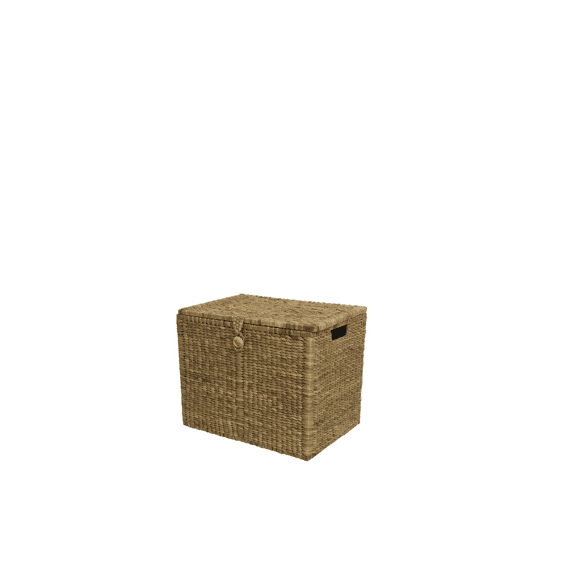 Opbergbox Waterhyacint Naturel Groot