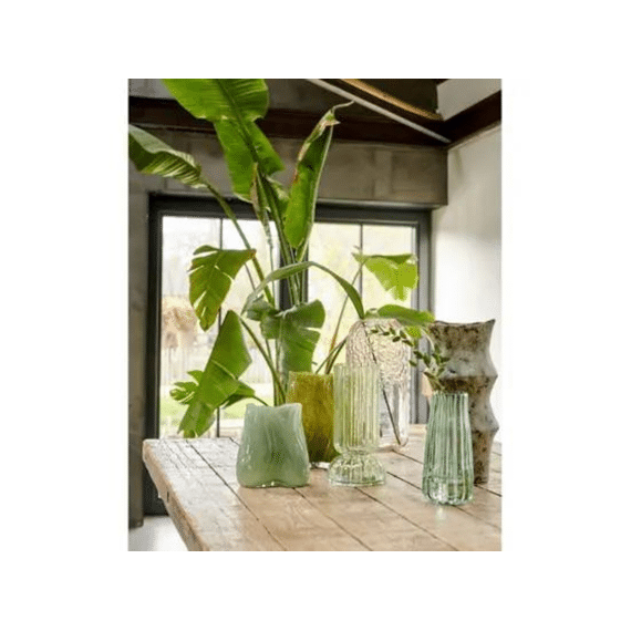 Vaas Glas D.10cm X H.21.5cm 3 Assortiment