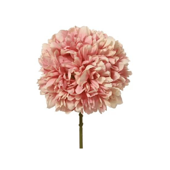 Pioen Op Steel Polyester D.24cm X H.74cm Zacht Roze