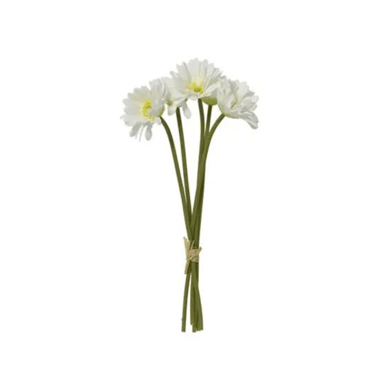 Boeket Pe L.35cm X W.16cm X H.5cm Creme