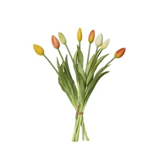 Tulp Pe L.13cm X W.13cm X H.39cm Multi