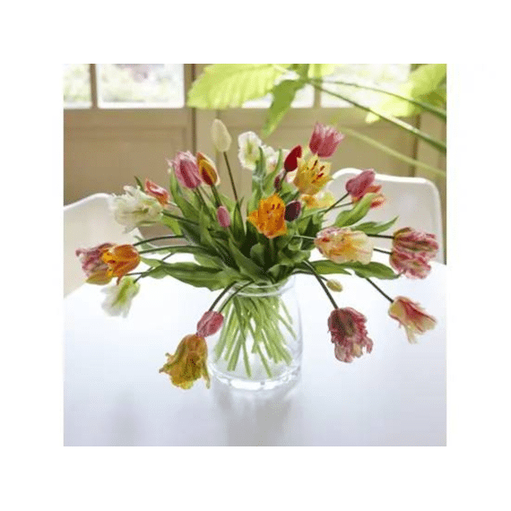 Tulp Pe L.13cm X W.13cm X H.39cm Multi