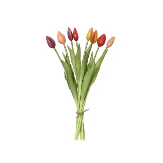 Tulp Pe L.13cm X W.13cm X H.39cm Multi