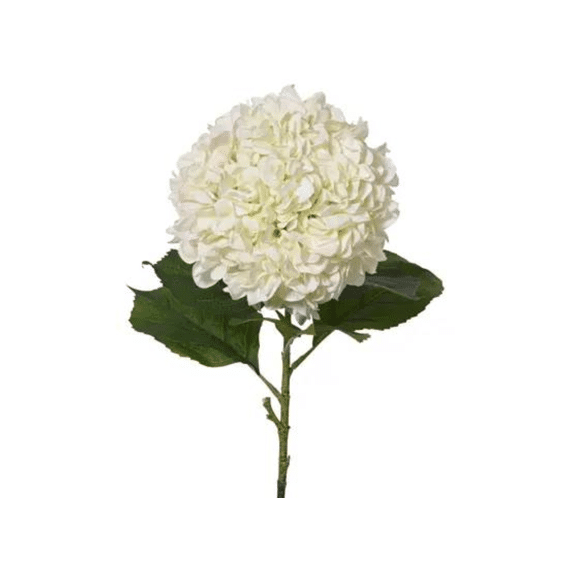 Hortensia Polyester D.27cm X H.106cm Creme