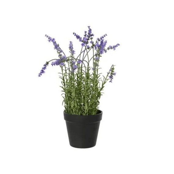 Lavendel Plastic D.22cm X H.37cm Groen/paars