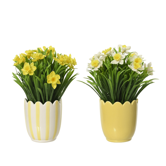 Plant In Pot Pe D.11.5cm X H.30cm Geel/kleur Assortiment