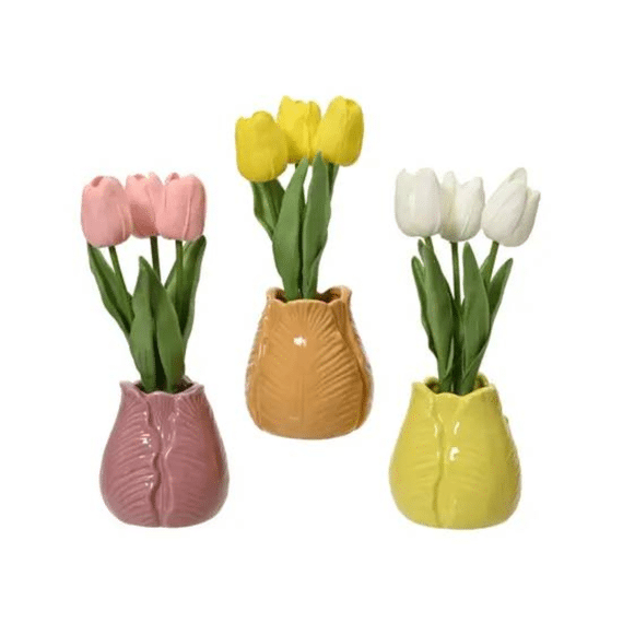 Plant Eva D.7cm X H.24cm 3 Assortiment